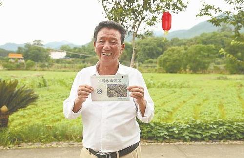 林冶资料,探寻历史脉络，解读文化精髓