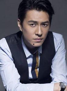 王宵个人资料,才华横溢的青年才俊，多领域成就斐然