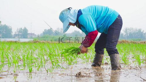 农民高清图片,农民生活掠影